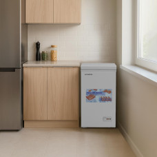 საყინულე სკივრი SKYWORTH BD-110B