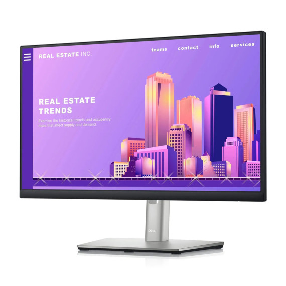 monitor DELL 210-BBBE