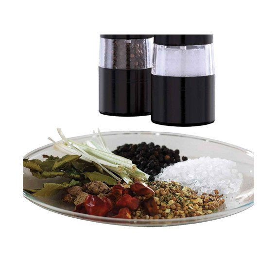 ელექტრო საფქვავი RUSSELL HOBBS BLACK S&P