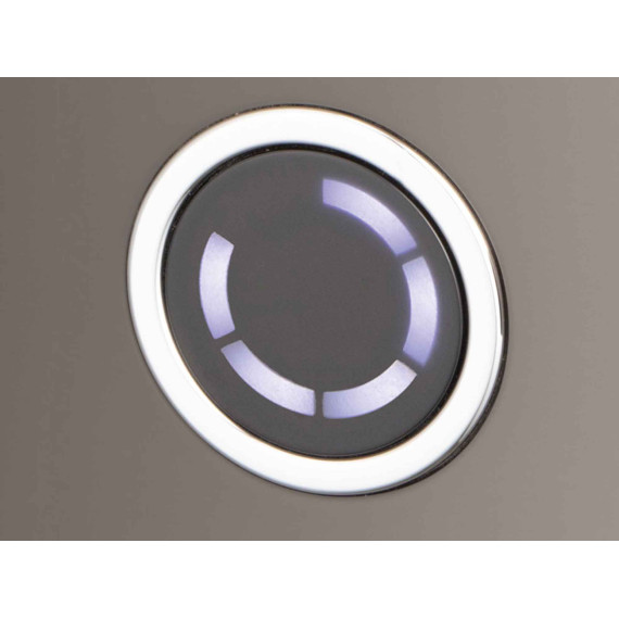 тостер RUSSELL HOBBS DISTINCTIONS 2S TITANIUM
