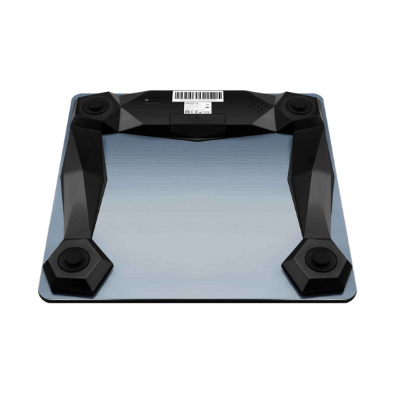 სასწორი POLARIS PWS 1886IQ SILVER