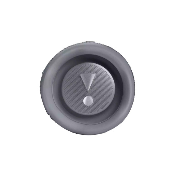 bluetooth speaker JBL Flip 6 (GR)
