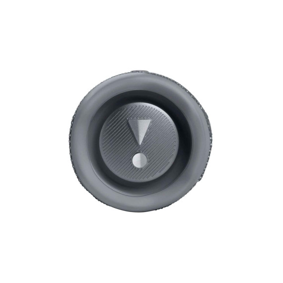bluetooth speaker JBL Flip 6 (GR)