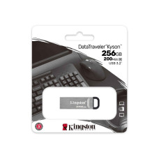 флеш накопители KINGSTON DTKN/256GB