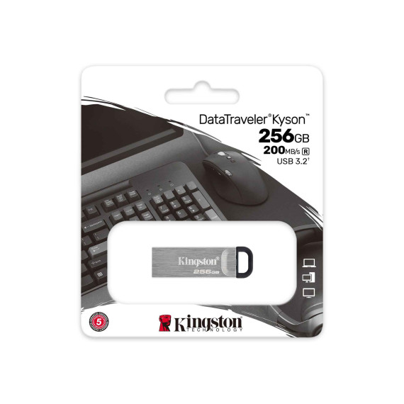 флеш накопители KINGSTON DTKN/256GB