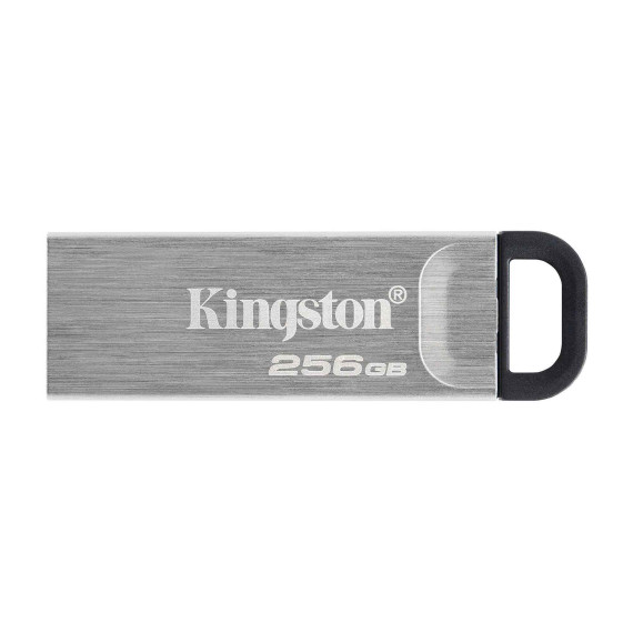 флеш накопители KINGSTON DTKN/256GB