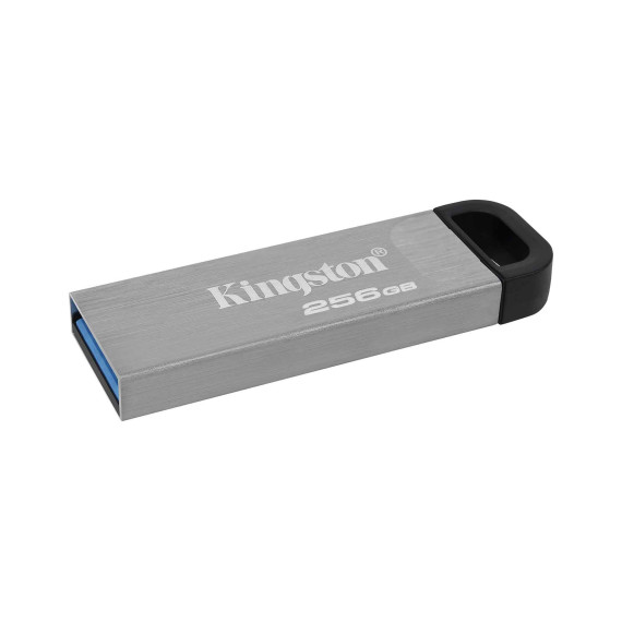 флеш накопители KINGSTON DTKN/256GB