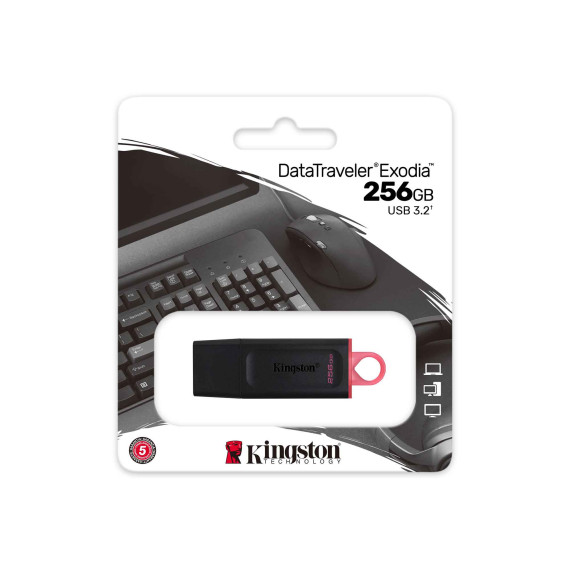флеш накопители KINGSTON DTX/256GB