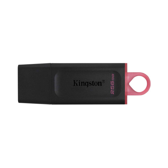 флеш накопители KINGSTON DTX/256GB