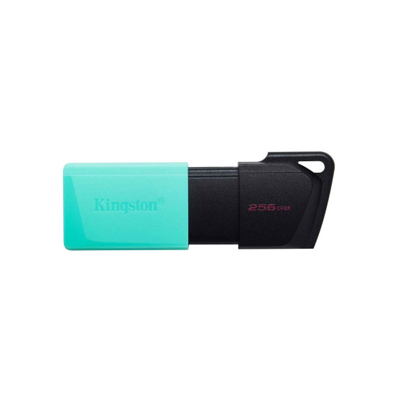 флеш накопители KINGSTON DTXM/256GB