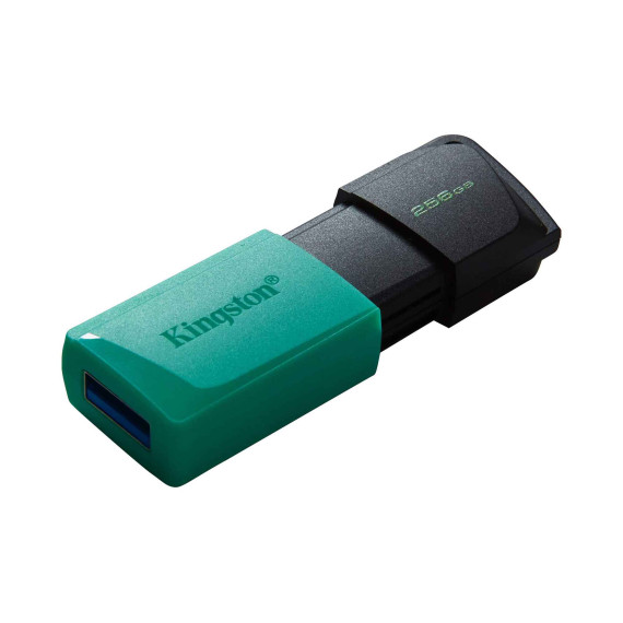 флеш накопители KINGSTON DTXM/256GB
