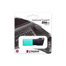 флеш накопители KINGSTON DTXM/256GB