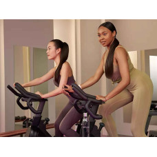 თმის გასასწორებელი PHILIPS BHS530/00