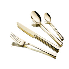 დანა-ჩანგლის ნაკრები SOLEX 364616 KARINA NEW STYLE CHAMPAGNE SET 16PC