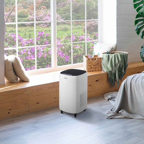 air purifiers BALLU AP-130