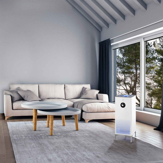 air purifiers ELECTROLUX EAP-2075D YIN &YANG