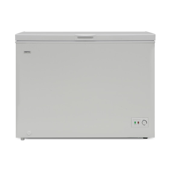 chest freezer BERG BCF-D302W