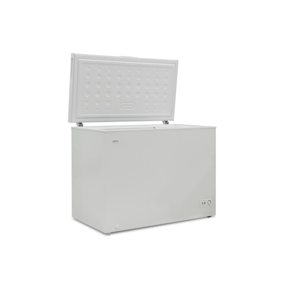 chest freezer BERG BCF-D302W