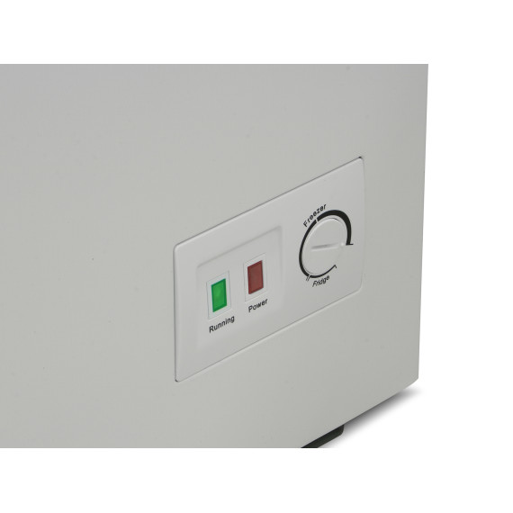 chest freezer BERG BCF-D302W