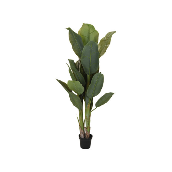 decorate objects KOOPMAN PALNT IN POT 165CM (963830)