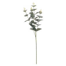 flowers KOOPMAN EUCALIPTUS 70CM (971217)