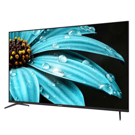 ტელევიზორი SHARP 4T-C65FJ16MX