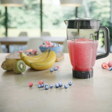 blender PHILIPS HR3020/20