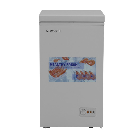 chest freezer SKYWORTH BD-110B