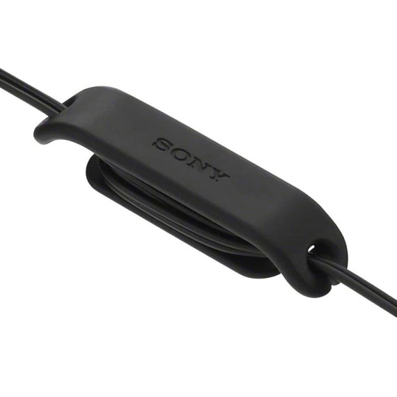 ყურსასმენები SONY IER-EX15C/BZE USB-C (Black)