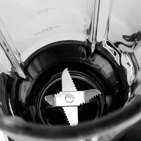 ბლენდერი BRAYER BR1209