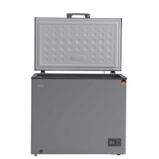 chest freezer BERG BCF-D251SL