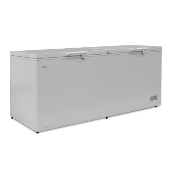 chest freezer BERG BCF-D708W