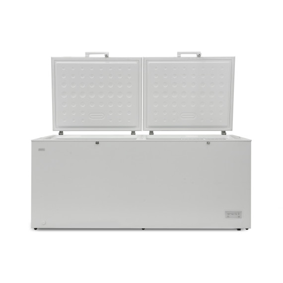chest freezer BERG BCF-D708W