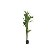 decorate objects KOOPMAN ARTIFICIAL DRACAENA 175CM