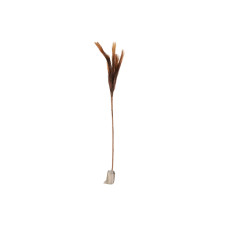 декоративные акссесуары KOOPMAN PAMPAS GRAS WITH LED 90CM BROW