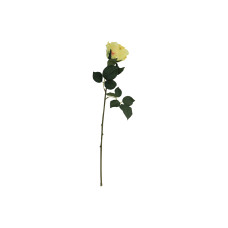 flowers HOMESRUS 024475