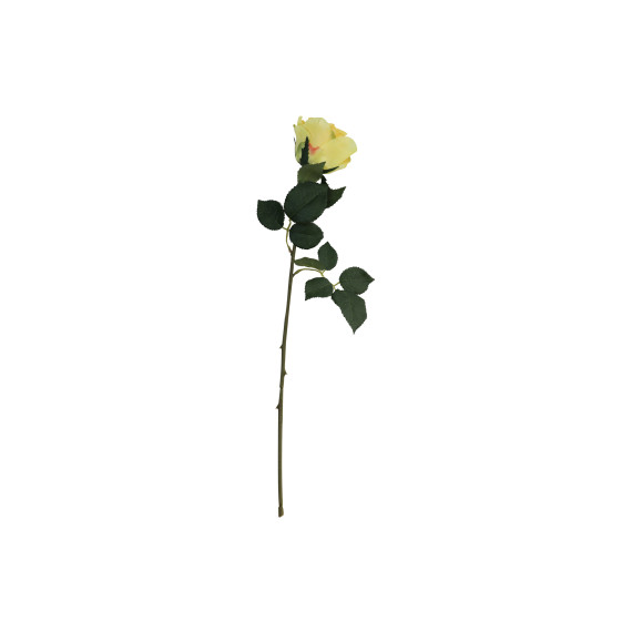 flowers HOMESRUS 024475