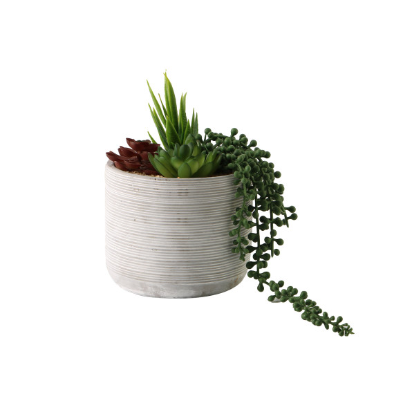 цветы KOOPMAN PLANT IN POT 20CM GROEN