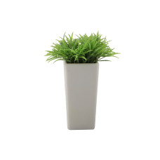 flowers KOOPMAN PLANT IN POT 4ASS
