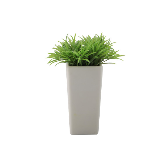 flowers KOOPMAN PLANT IN POT 4ASS