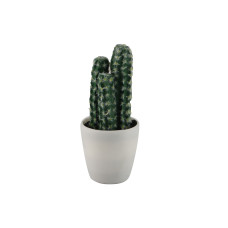 flowers KOOPMAN PLANTS IN WHITE POT 12ASS