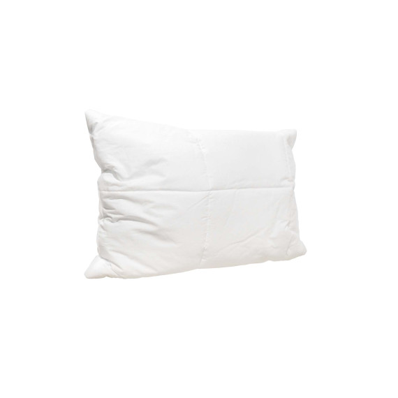 pillow VETEXUS R 50X70 SI 700