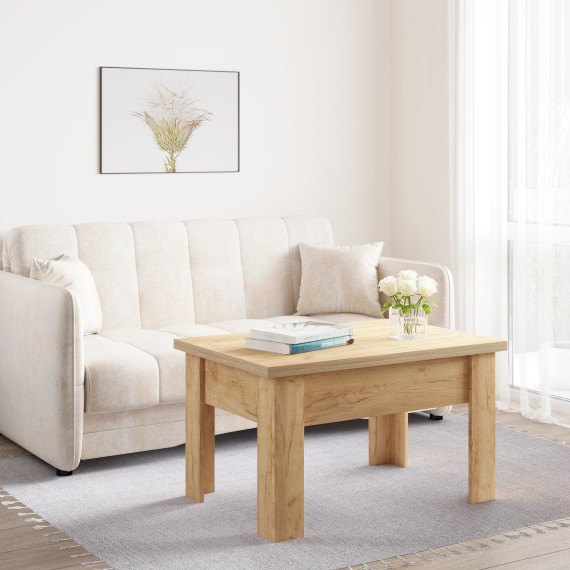 ტრანსფორმერი მაგიდა HOBEL E-60X90X120 ECONOM K003 (1)