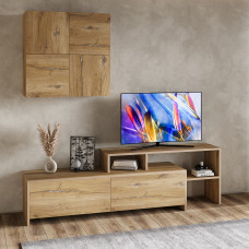 tv unit VEGA TV MODULE X36 BS 392 (4)