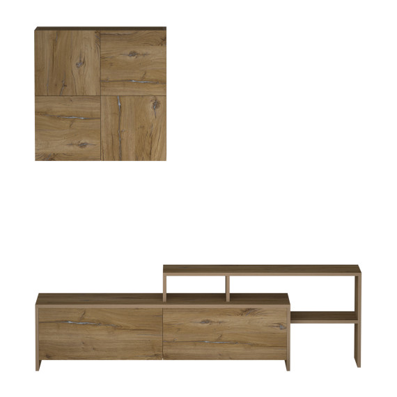 tv unit VEGA TV MODULE X36 BS 392 (4)