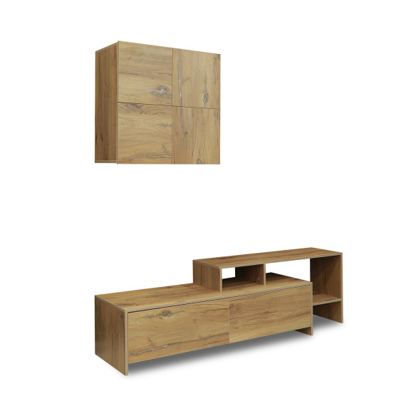 tv unit VEGA TV MODULE X36 BS 392 (4)